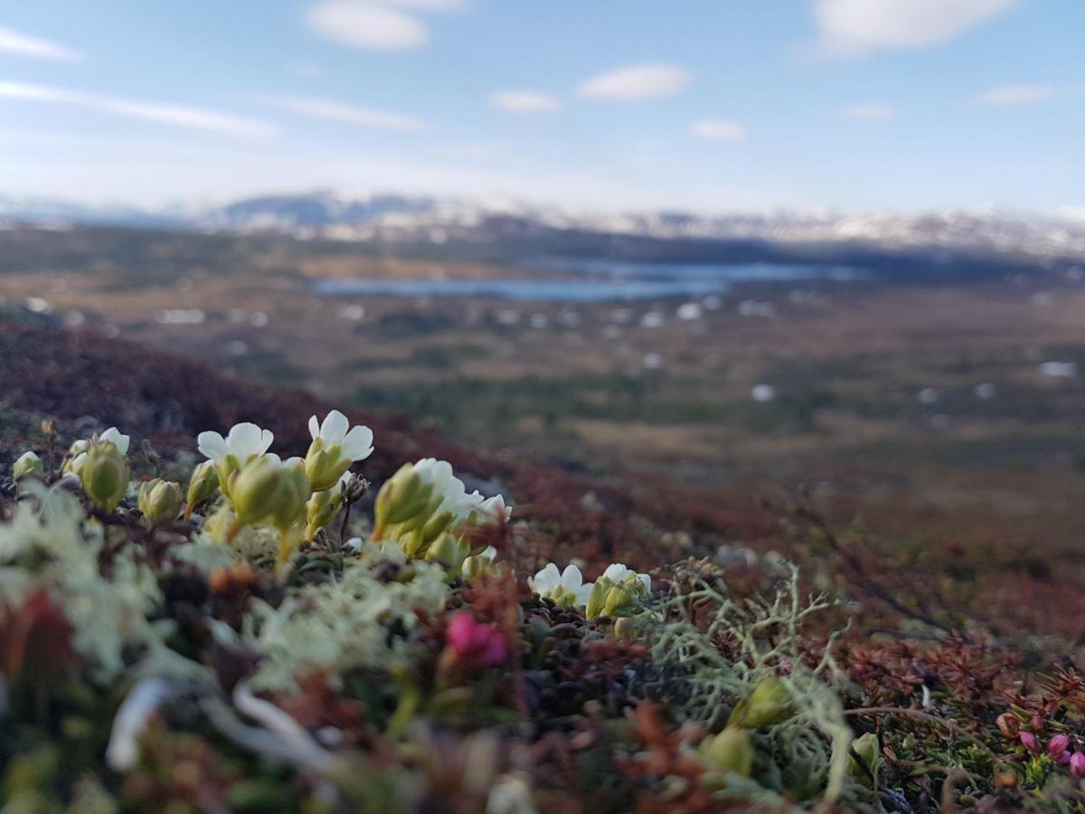 Renfjaellsgarden Edsasdalen Exterior foto